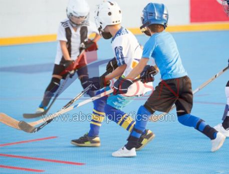 Abosn Dek Hockey Dasher Board and Floor Tiles